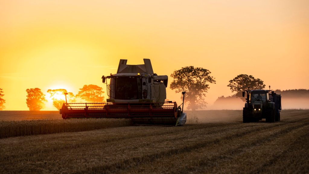 ‘Catastrophic’: Food prices could rise due to farm inheritance tax change, farmers warn