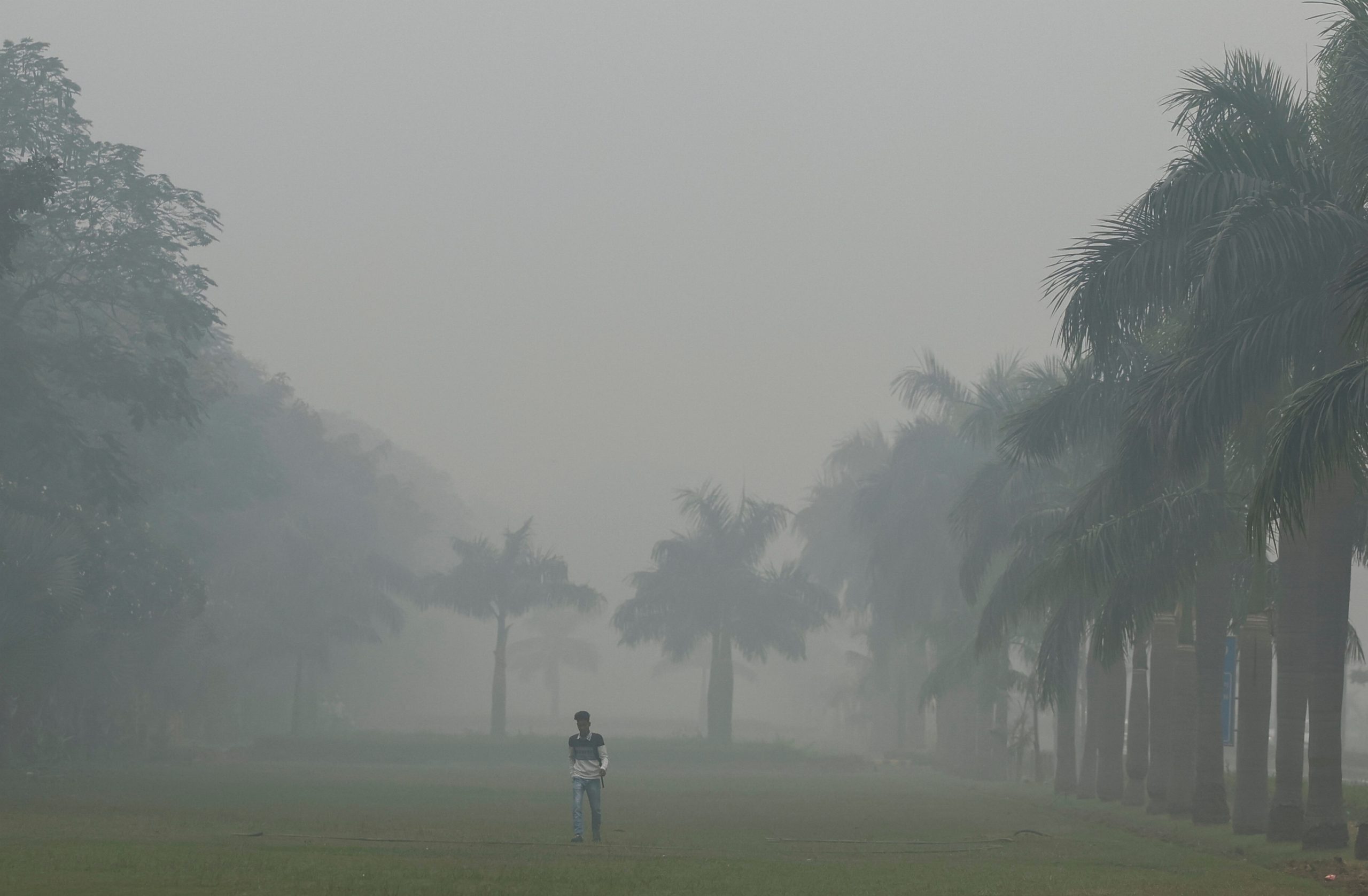 Pollution Chokes Delhi, New Restrictions In Place, Schools Go Online