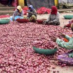 Onion Prices Rise To Rs 80 Per Kg In Delhi, Mumbai