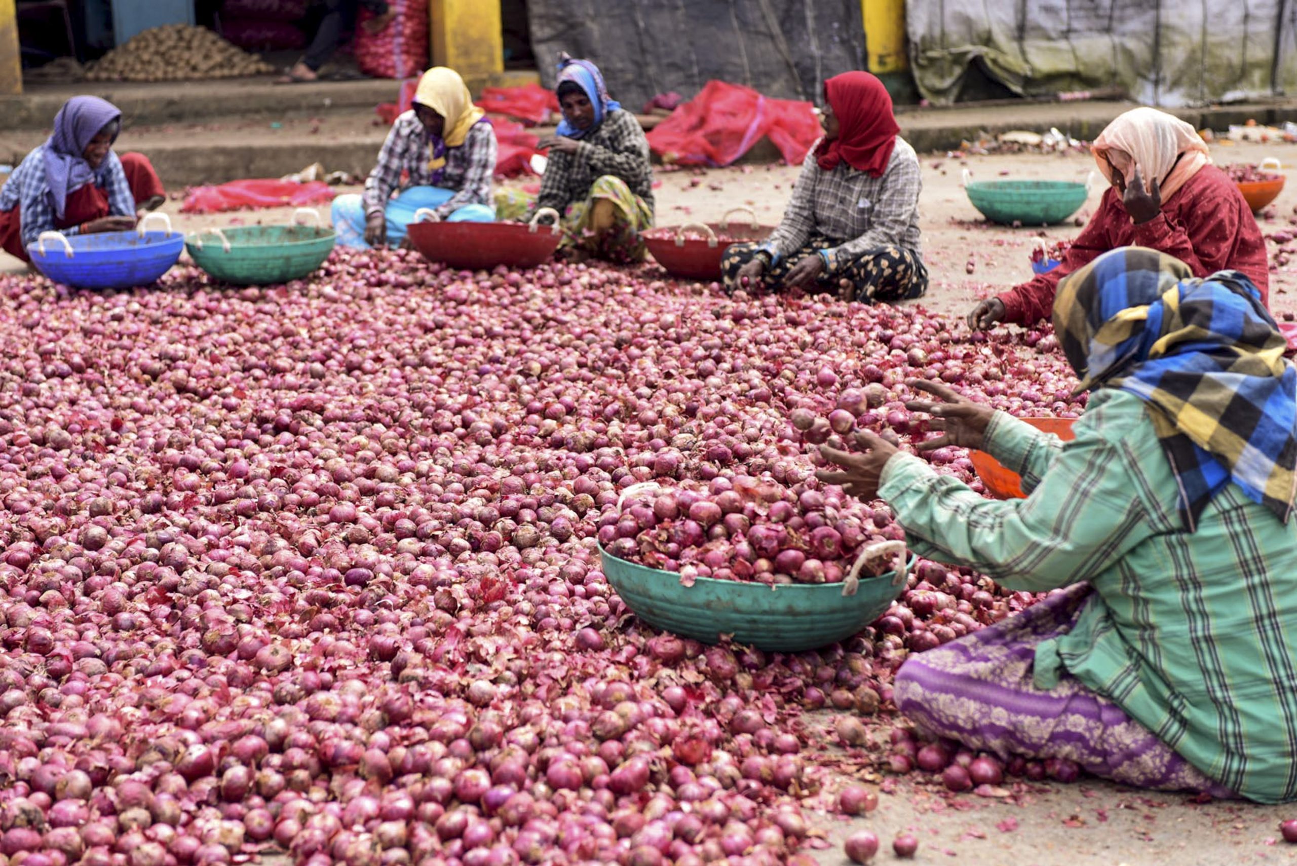 Onion Prices Rise To Rs 80 Per Kg In Delhi, Mumbai