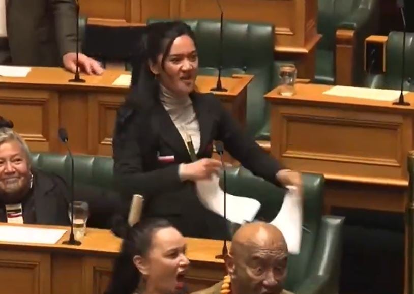 New Zealand MP Leads Traditional Dance, Rips Up Copy Of Bill In Parliament