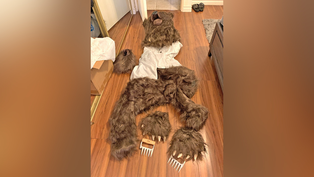 Person in bear costume attacks luxury cars in insurance scam, California insurers say