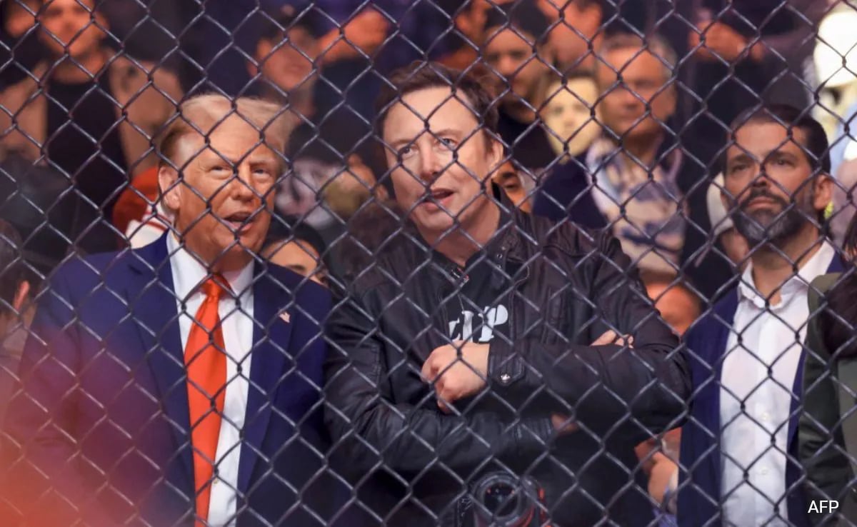 Watch: Donald Trump, Elon Musk In Front-Row Seats At UFC Event