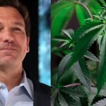 Hemp Donations Fuel DeSantis And Florida GOP’s Charge Against Weed Legalization, New Findings