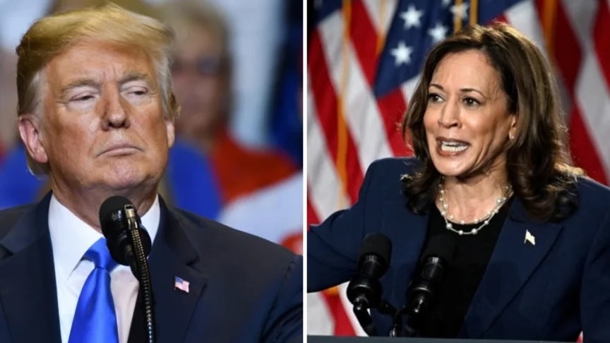 Trump, Harris-Inspired Cryptos Crack Ahead Of Election Day—Coin Parodying Vice President Still Up Over 50% This Week