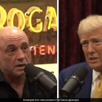 Joe Rogan Endorses Donald Trump On Eve Of US Election