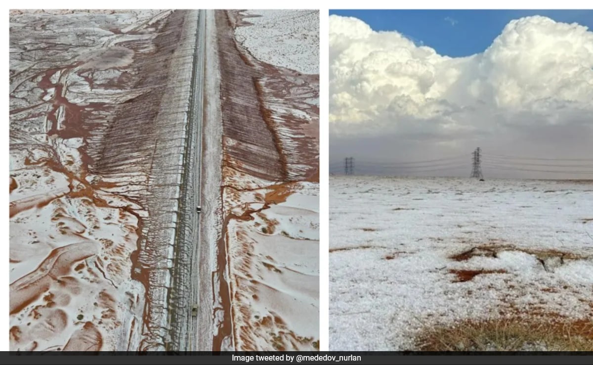 Watch: Saudi Arabian Desert Sees Snowfall For The First Time In History