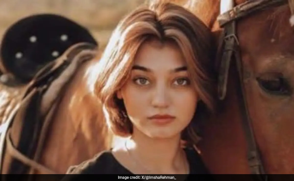 Who Is Imsha Rehman, Pakistani TikTok Star Caught In Video Leak Scandal