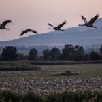 n8kp3j3o northern israel nature reserve 625x300 15 November 24 uCoSsm