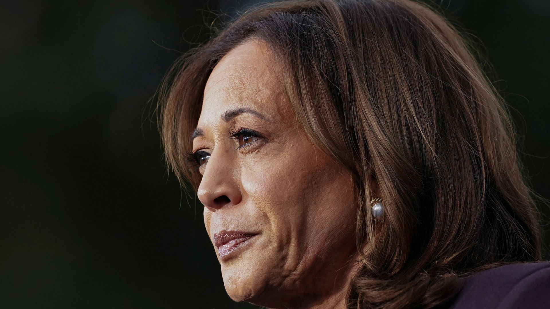 ‘We will never give up the fight’: Kamala Harris’s concession speech in full