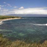 Shark attacks surfer, 61, in Hawaii