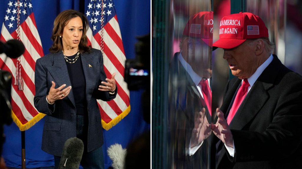 Trump and Harris in final pitch to US voters after blitzing battleground states