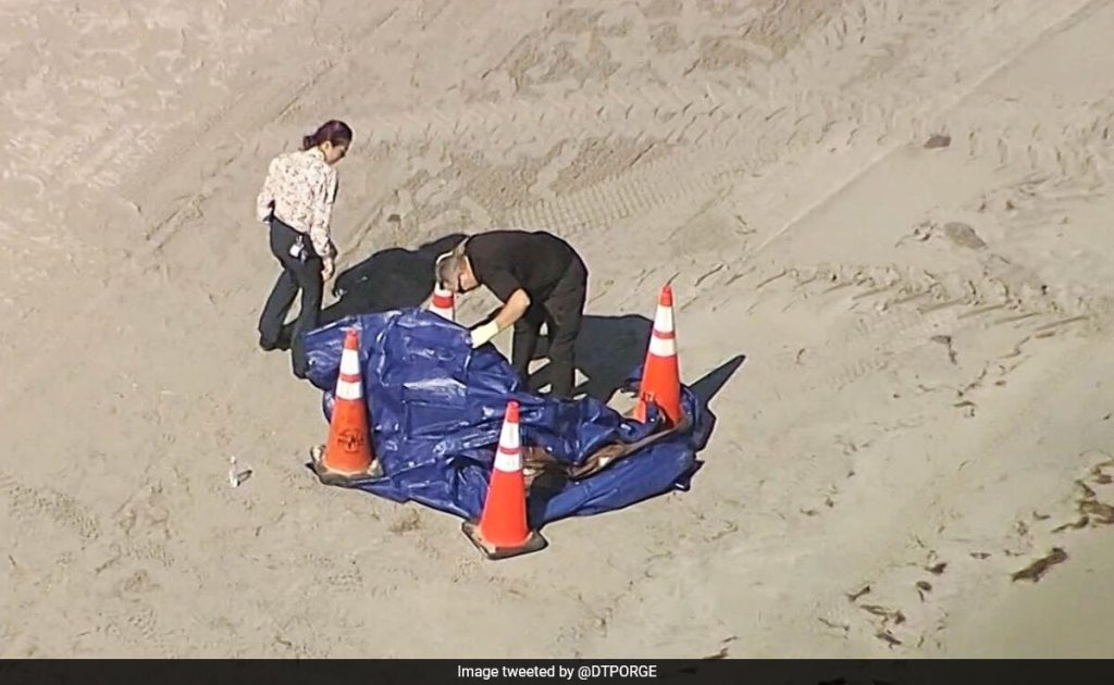 “Quite Disturbing”: Human Head Found On Popular Tourist Beach In Florida