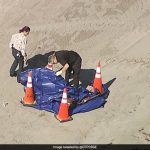 “Quite Disturbing”: Human Head Found On Popular Tourist Beach In Florida