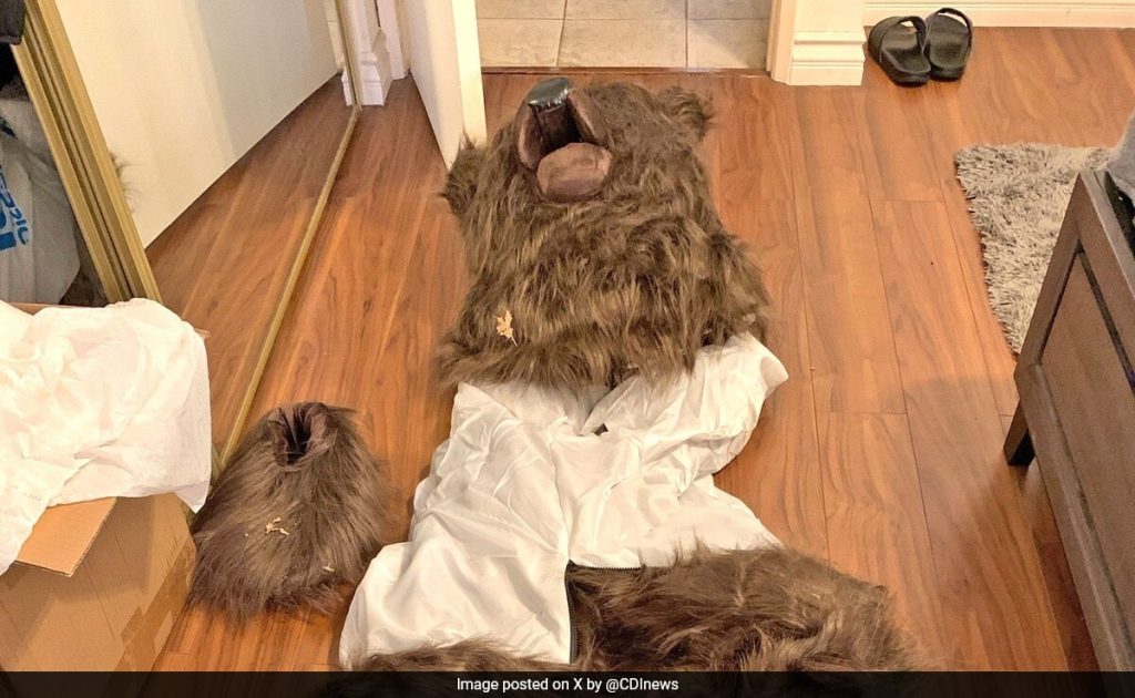 Men Dressed As Bears Destroy Their Own Luxury Cars For Insurance Money