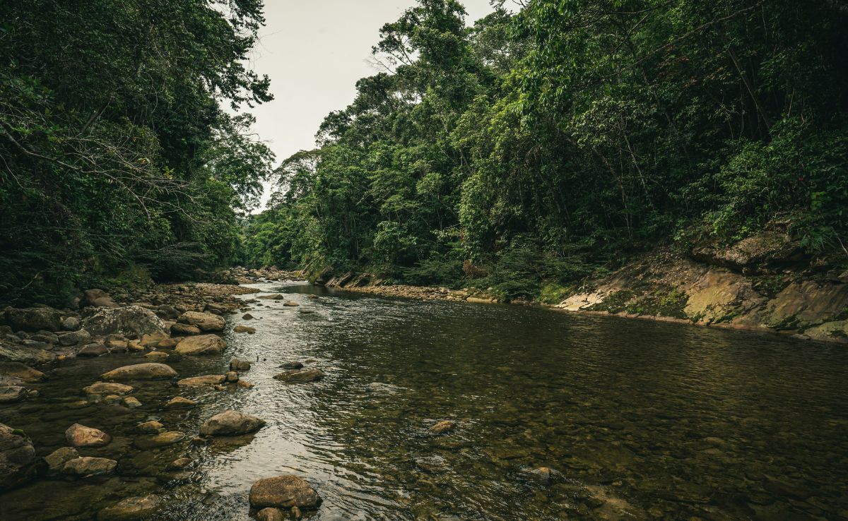 Biden Visits Amazon, The Jungle That Nearly Killed Teddy Roosevelt